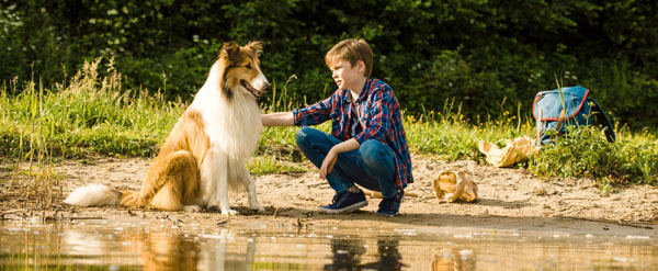 Lassie kommer hem